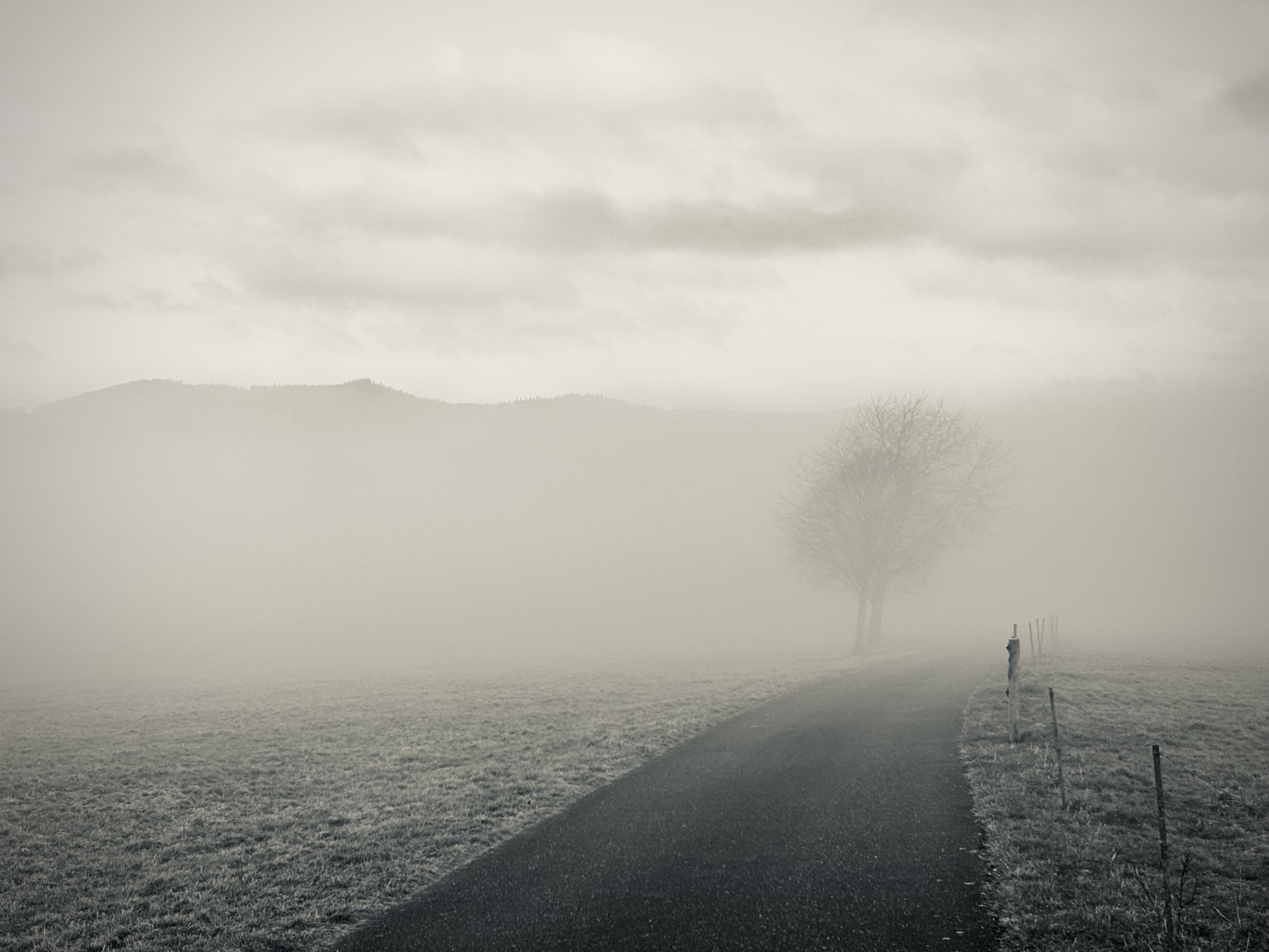 fog